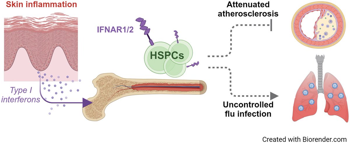 The Journal of Immunology tweet media