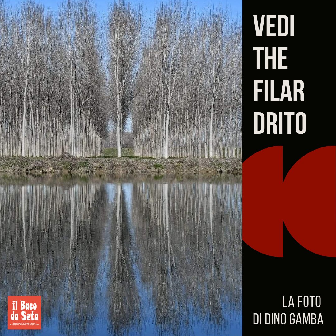 IlBacodaSeta's tweet photo. La foto della settimana, di Dino Gamba https://t.co/djNMTVriaX