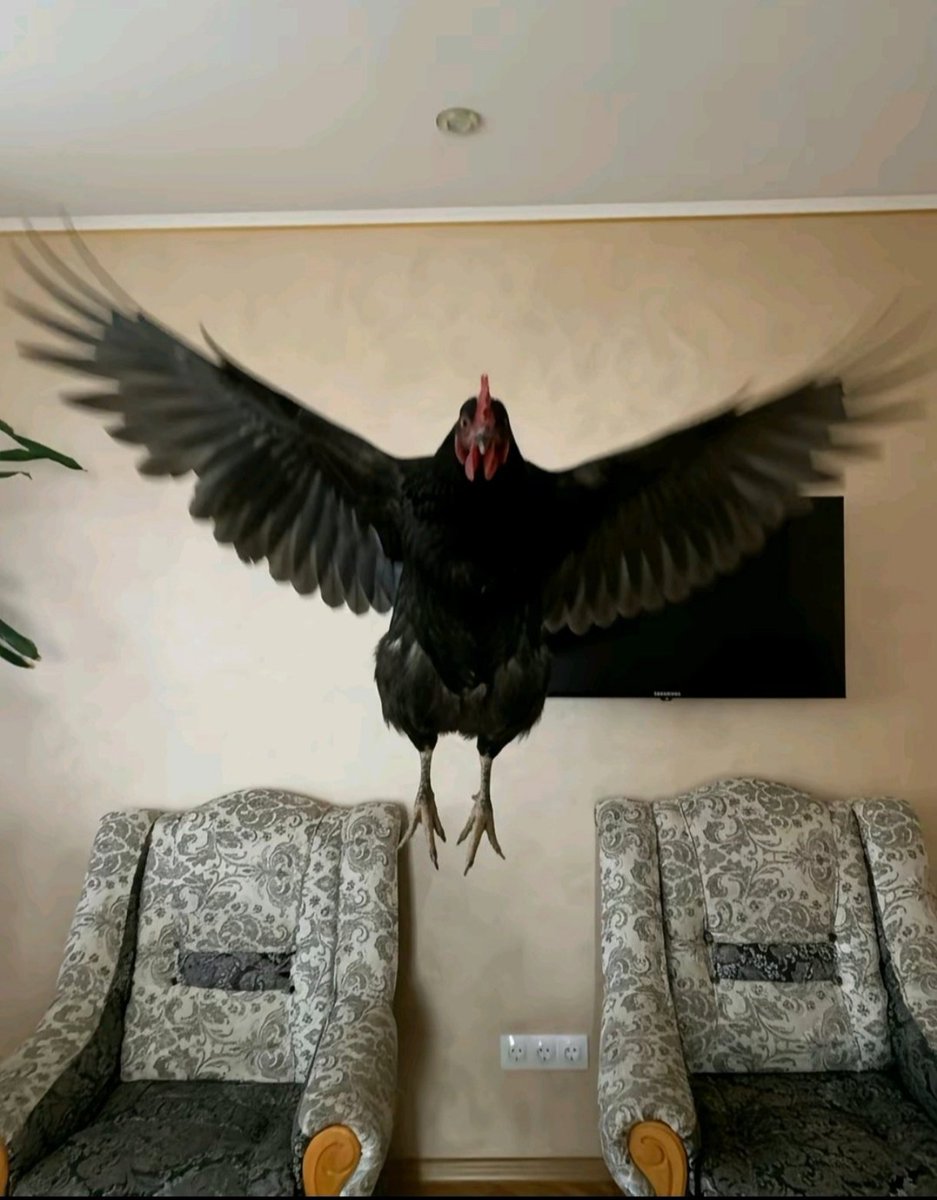 derbilerde beşiktaş