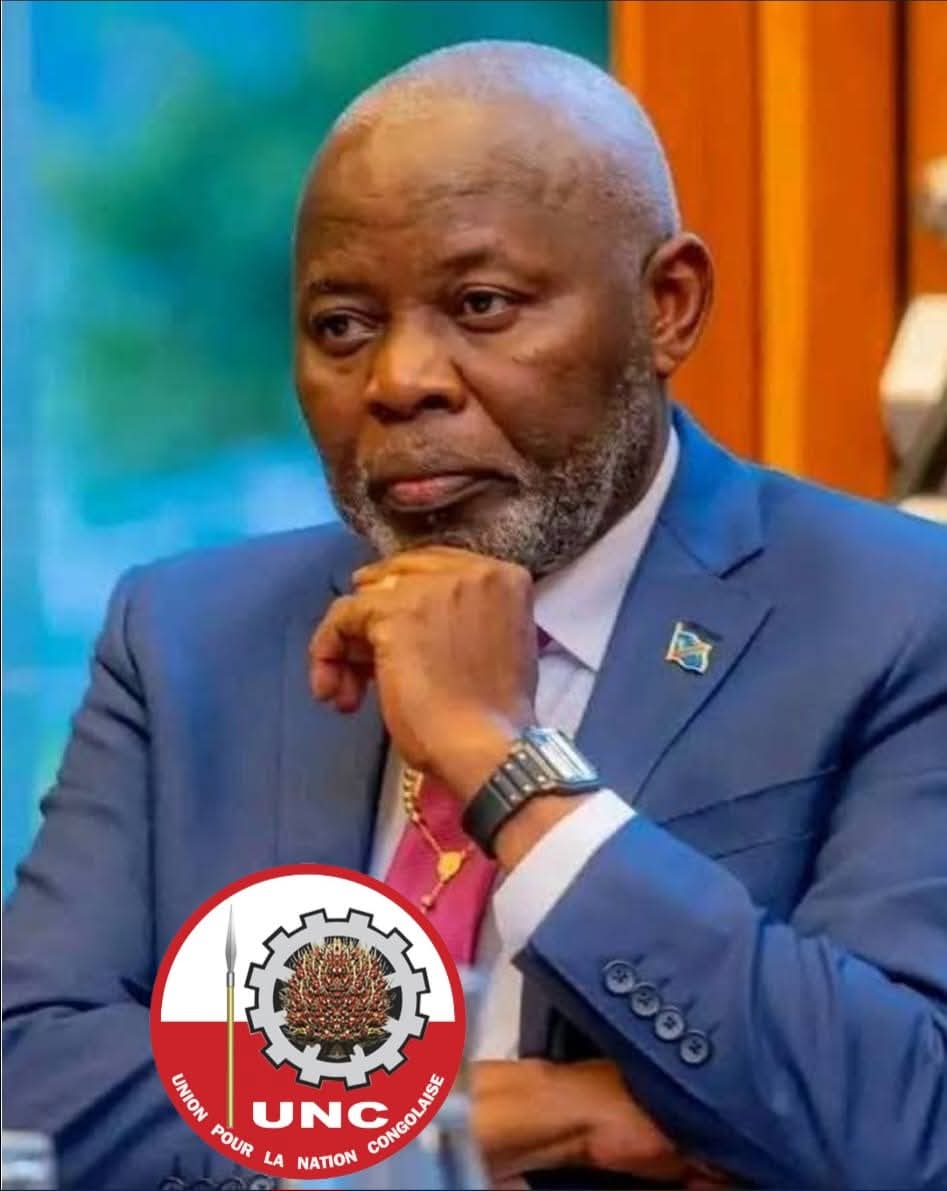 Dr Didier KAMERHE tweet media