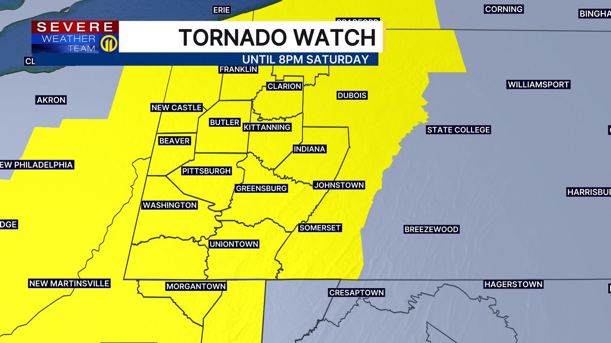 Stephanie Allison tweet media