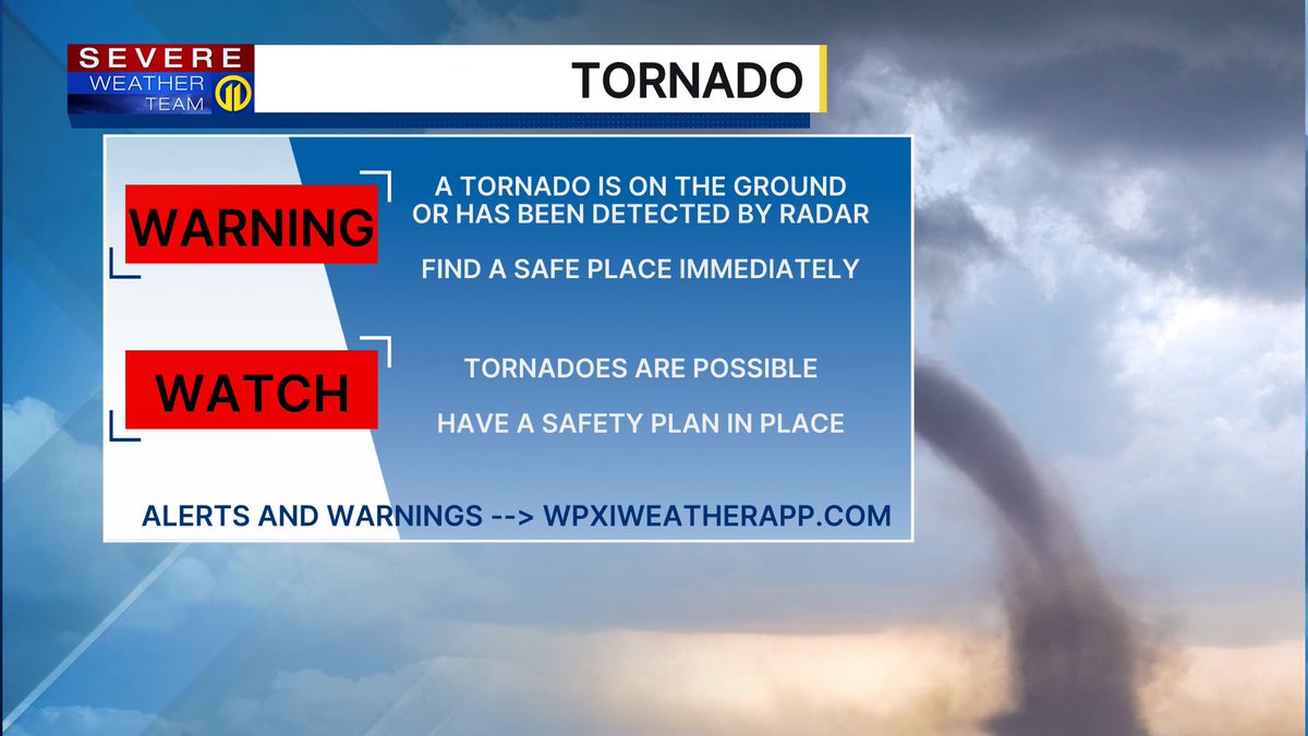 Stephanie Allison tweet media