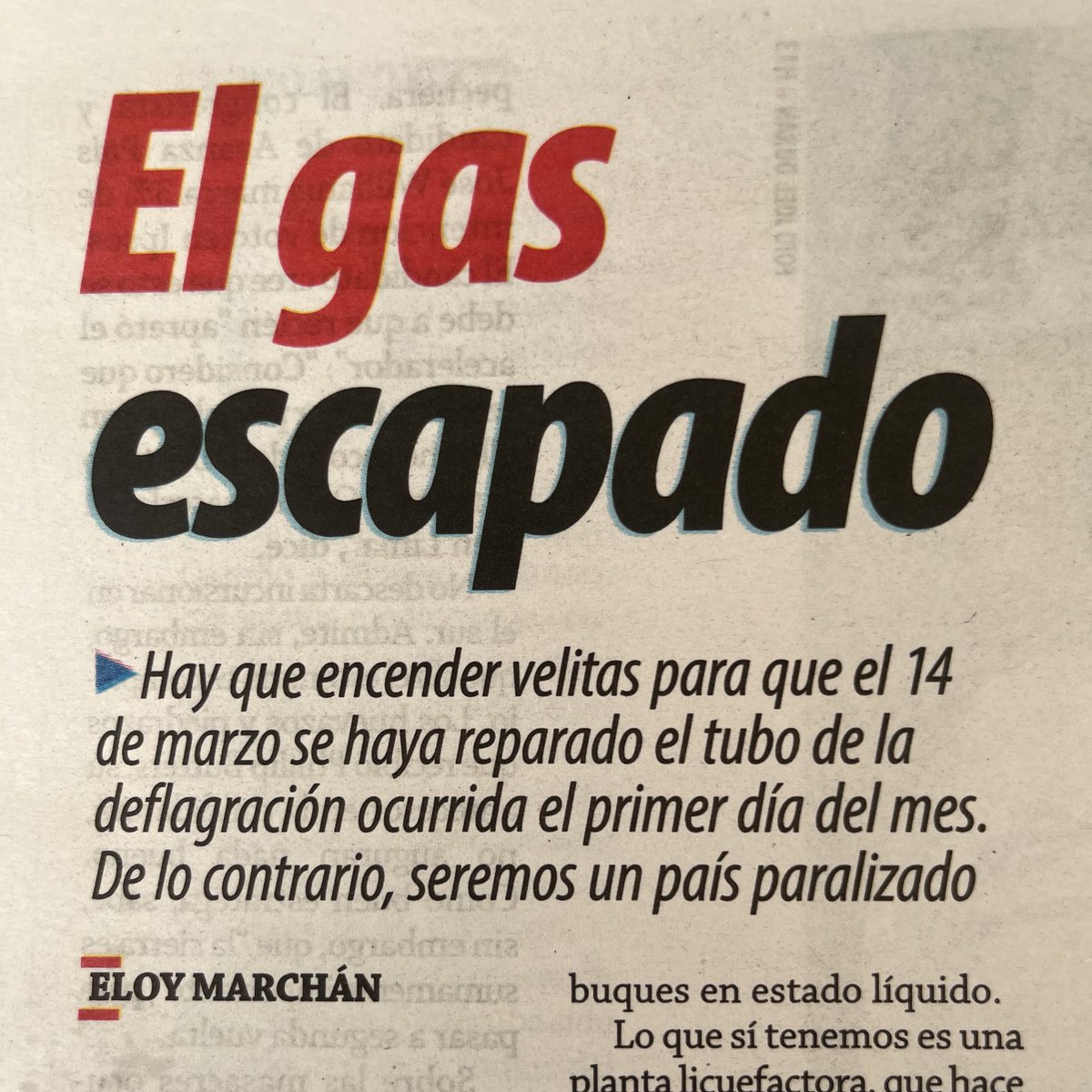 Natalia Manso tweet media