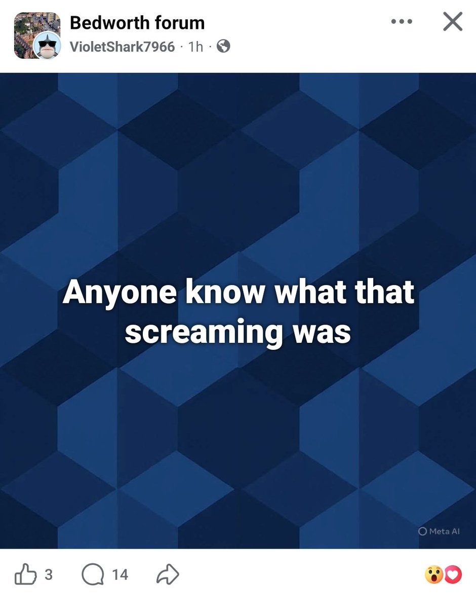 Lee Hayward tweet media