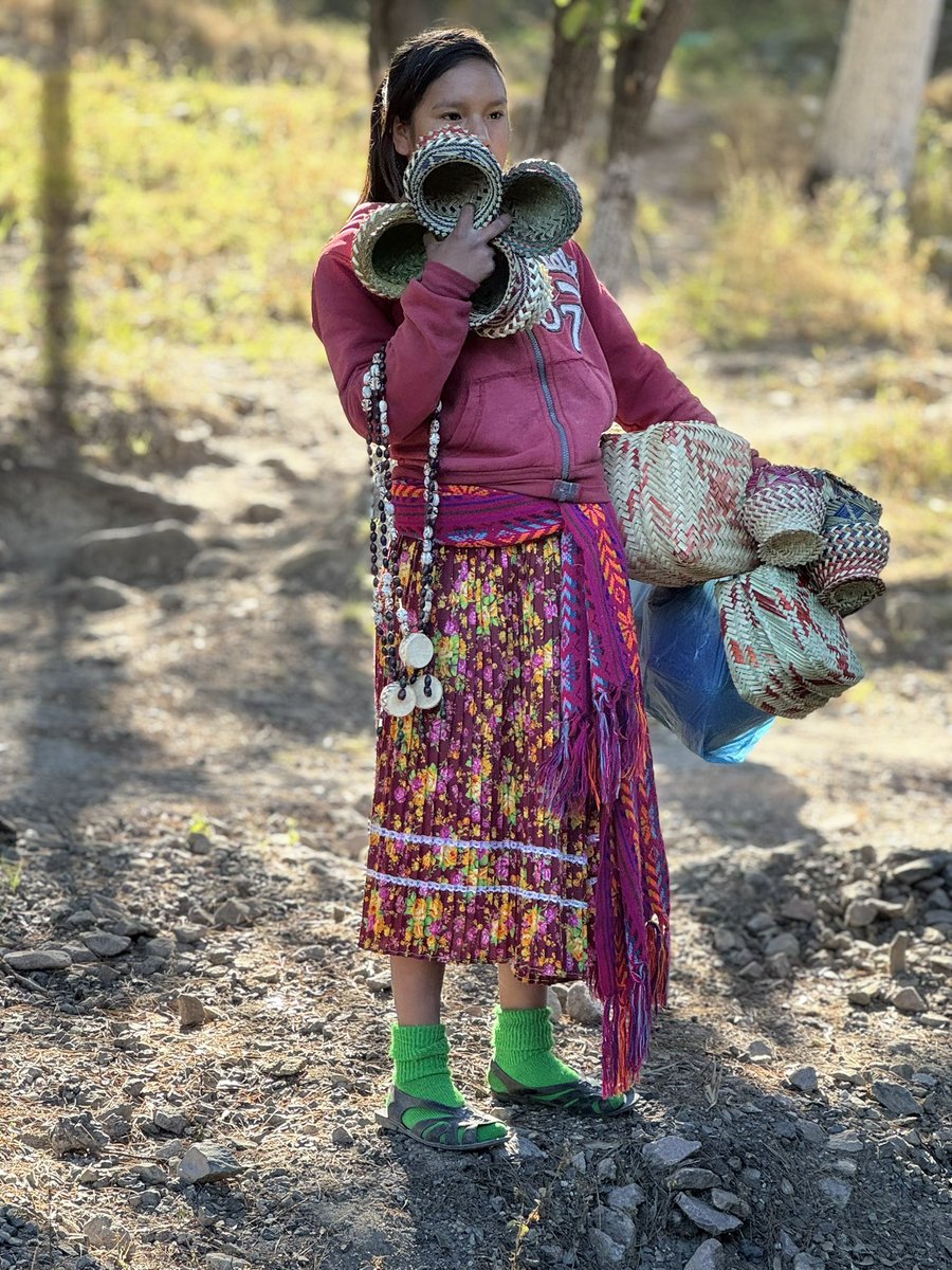 Nicholas Rosen | The World Overload tweet media