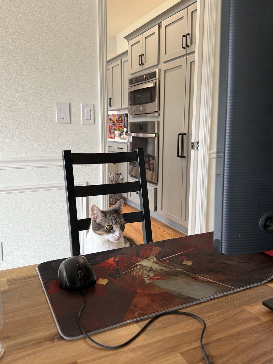 kath ♡ tweet media