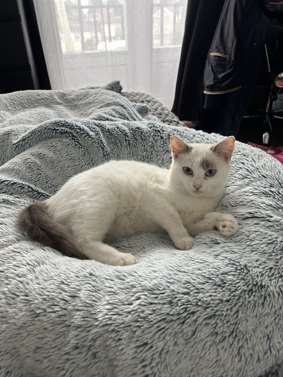 Legrams 🥷🏼 tweet media