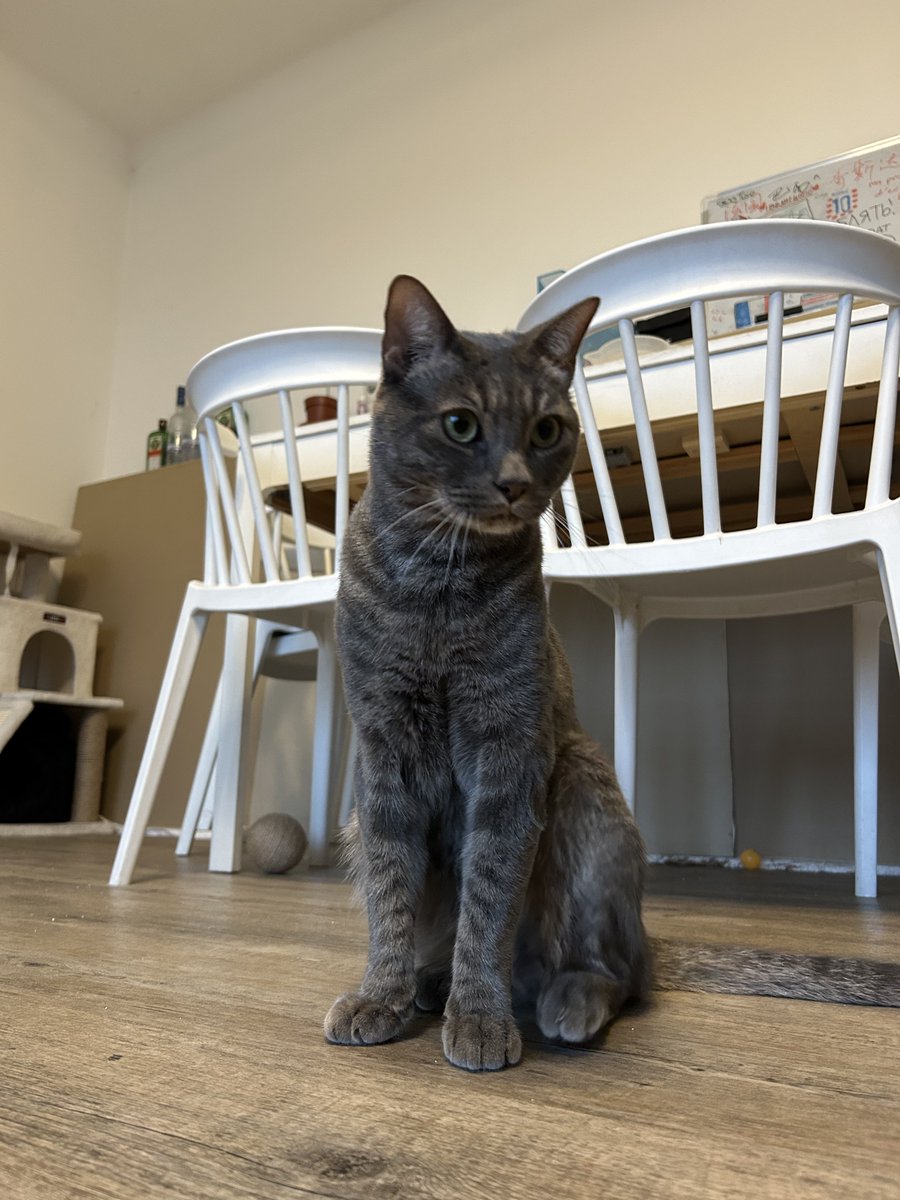 Legrams 🥷🏼 tweet media