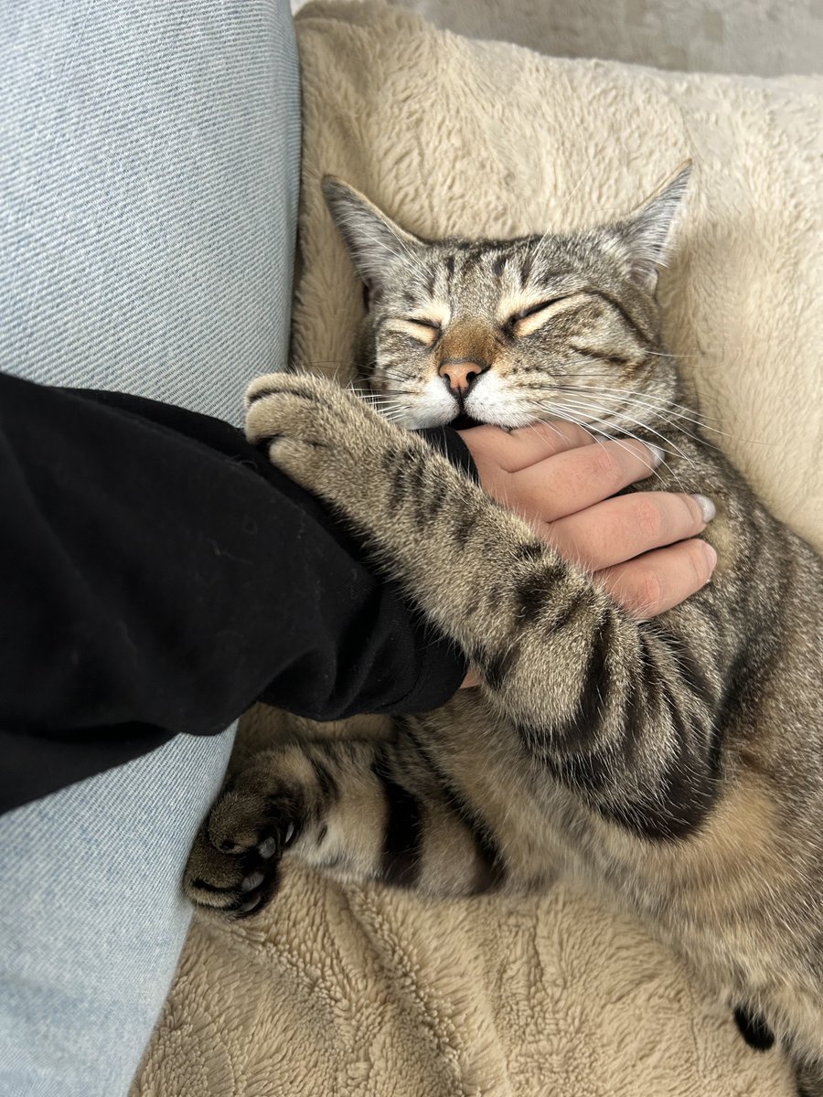 Legrams 🥷🏼 tweet media