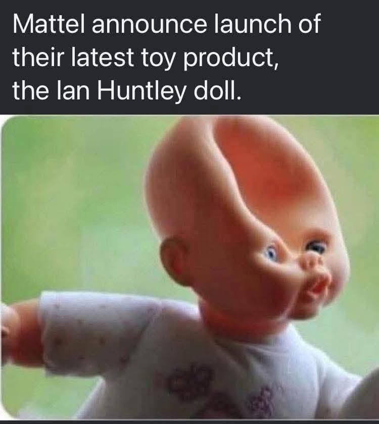 Duncans Pigeon tweet media