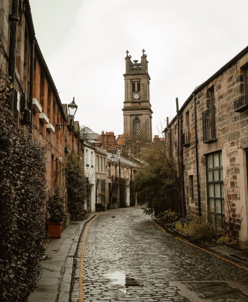 افراح tweet media