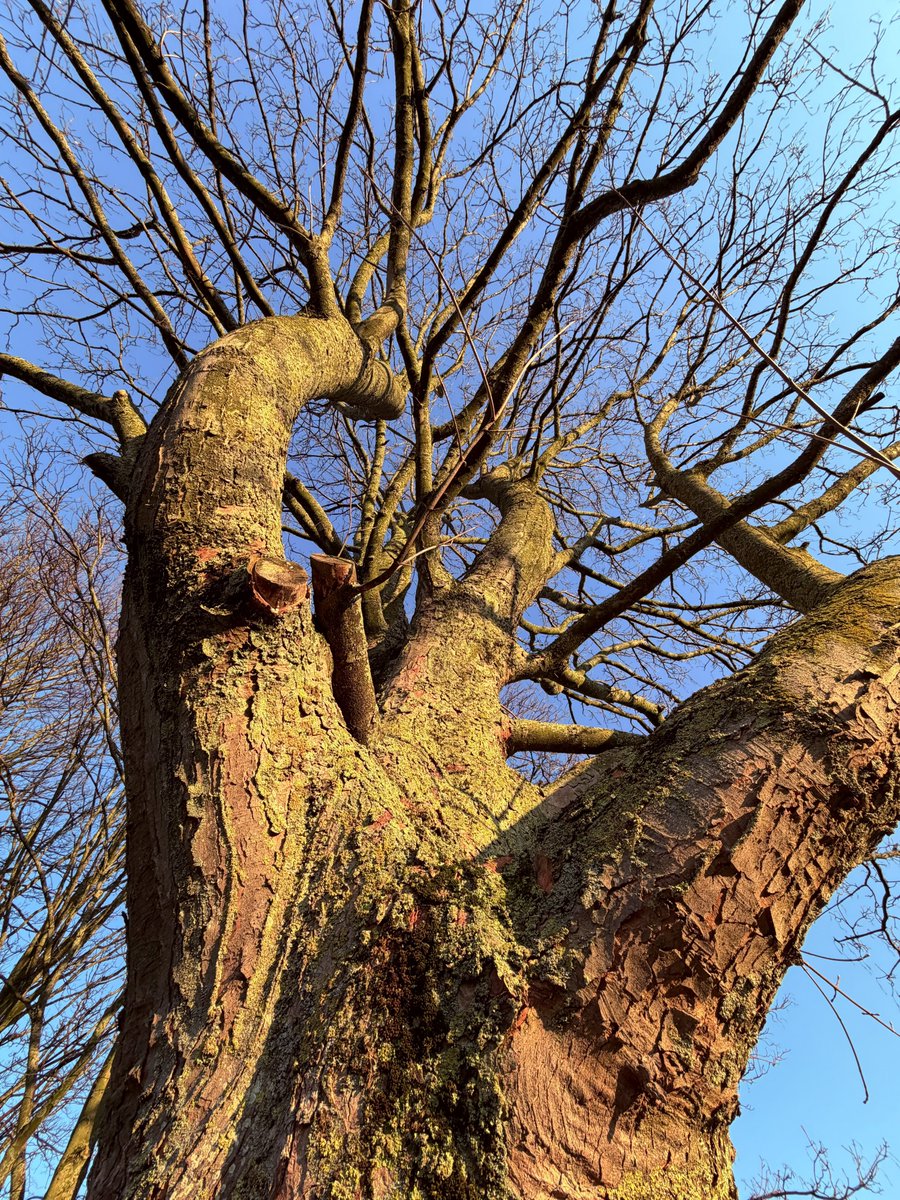 liam_lovell's tweet image. Cold &amp;amp; frosty start turned into a stunning spring day in Carlisle with wall to wall sunshine. Diurnal temperature from -2.1°c up to +11.8°c this afternoon ☀️ 

#cumbria #loveukweather