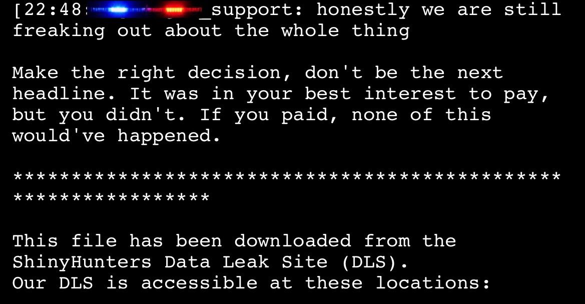 Dominic Alvieri tweet media