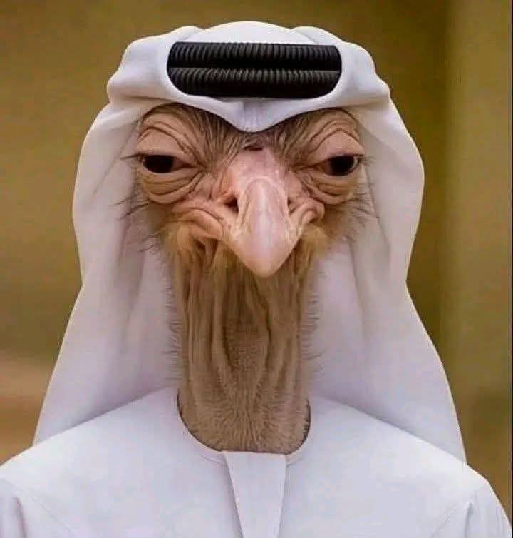 وسن الشيخلي tweet media