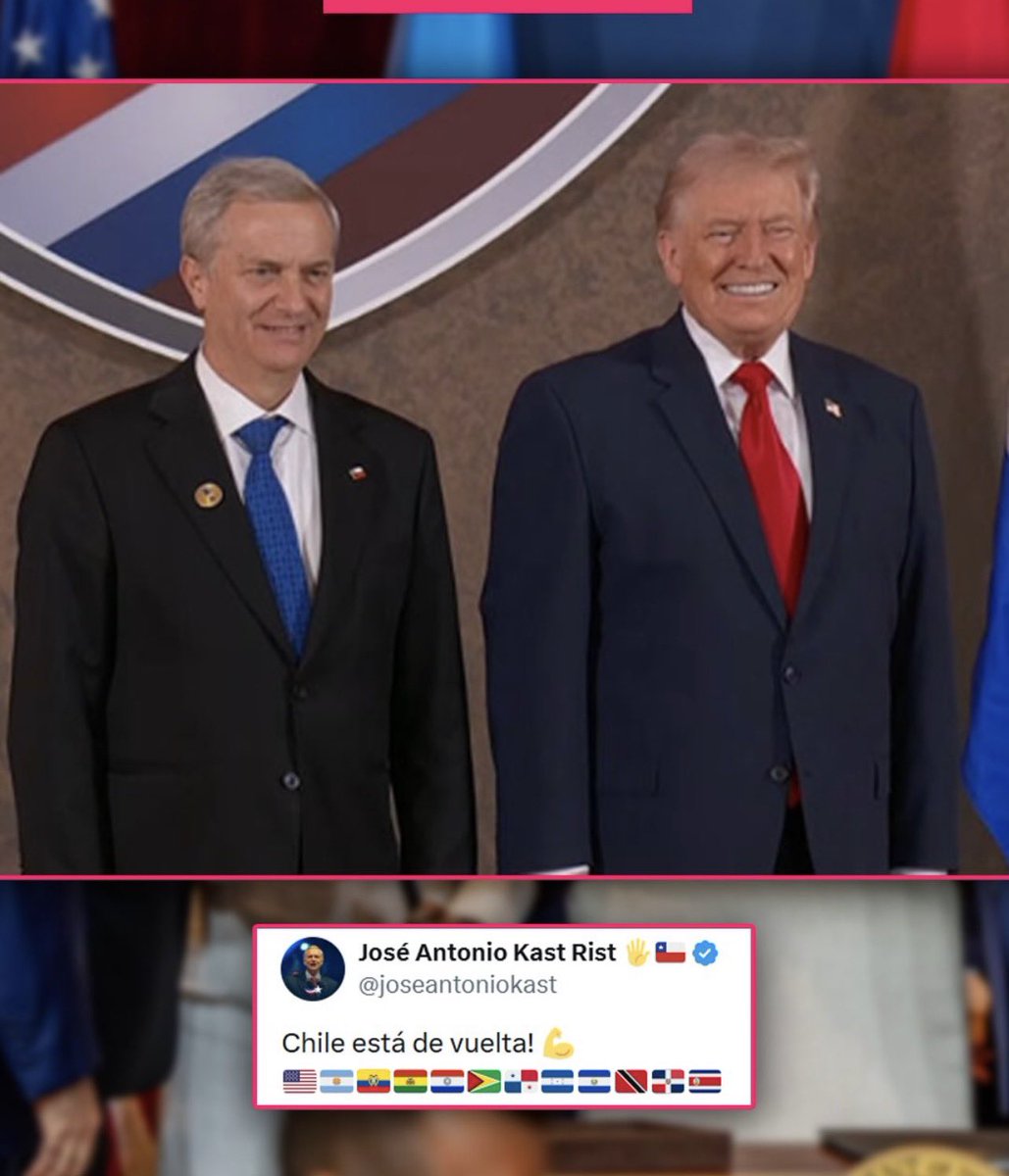 Conchesumemes_chile tweet media