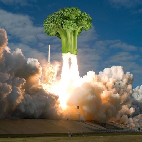 ˗ˏˋ ꒰ Broccoli ꒱ ˎˊ˗ 🥦 ໒꒱ tweet media