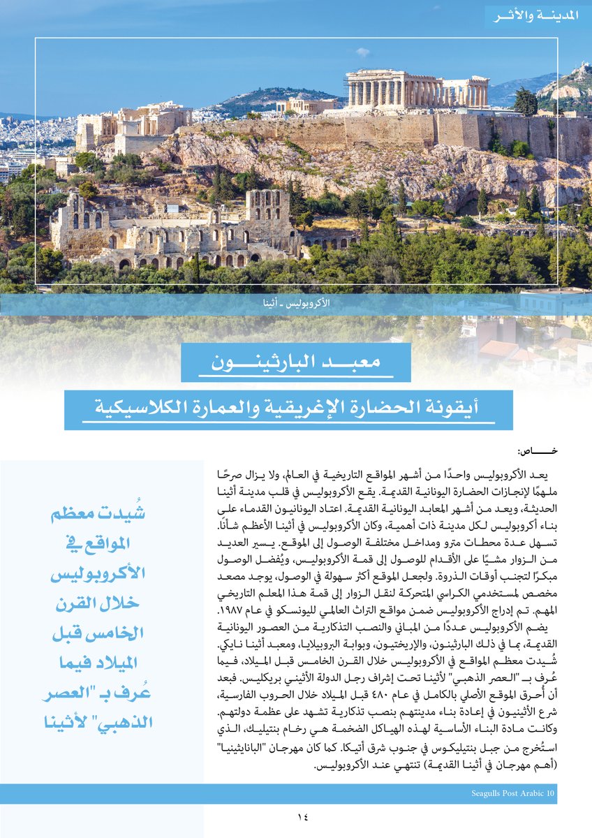 Seagulls Post Arabic tweet media