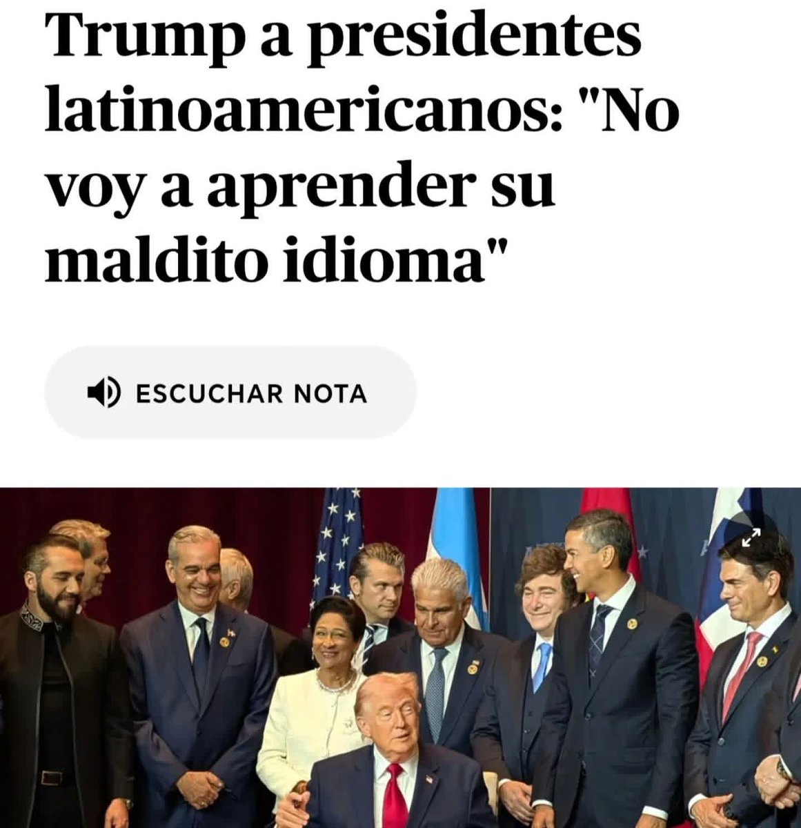 Y las mascotas le ríen la gracia: