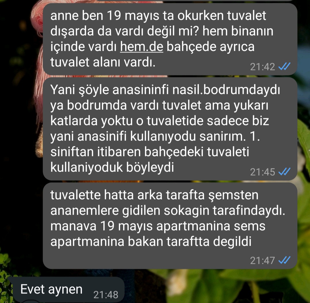 hafizepınar tweet media