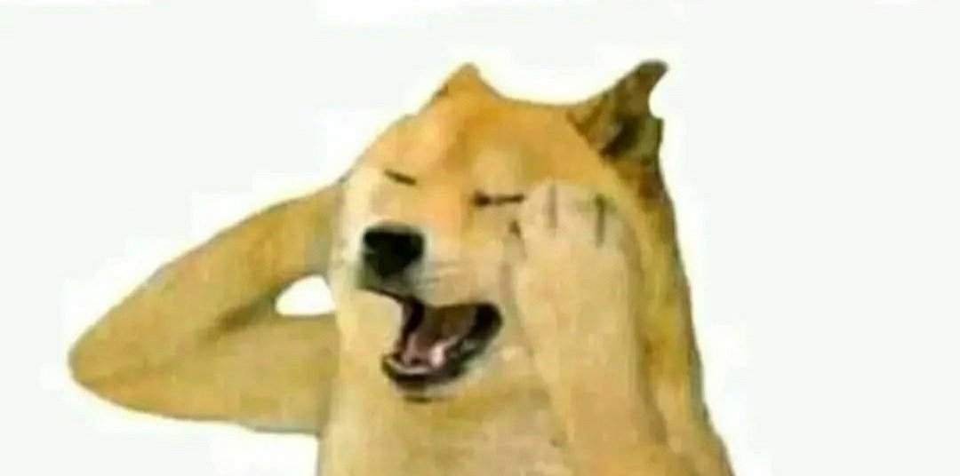 ShouryaSlays's tweet image. A childhood bullying victim becoming a cheap bully is one of the ugliest thing possible.