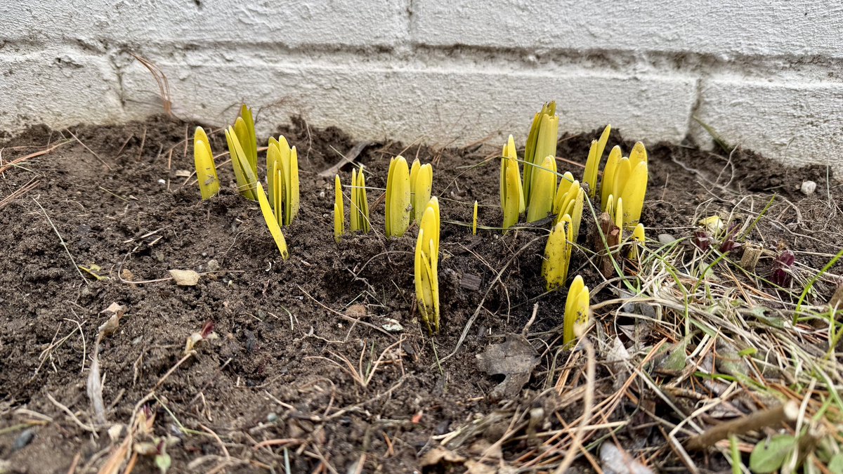 Mike Frezon tweet media