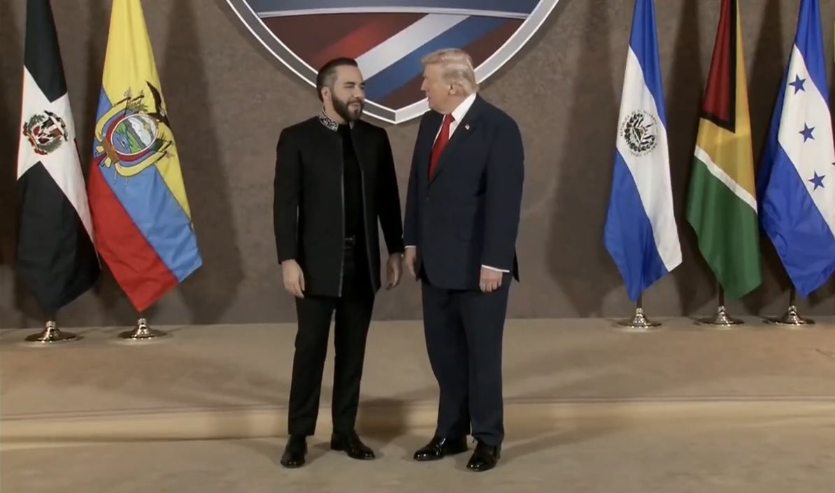 Will☃️Winter❄️🦅 tweet media