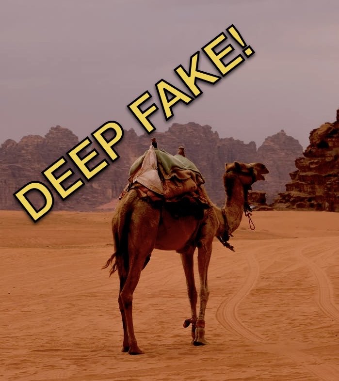 ParadiseJim tweet media