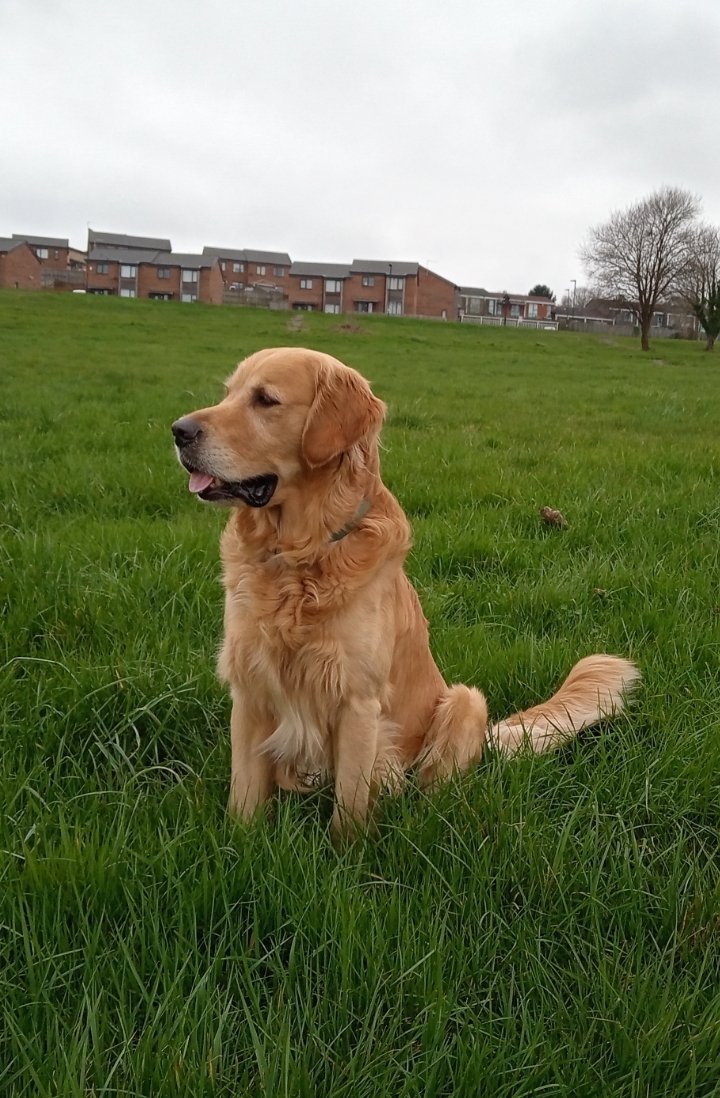 Carlos Shires (@carlosshires) on Twitter photo 