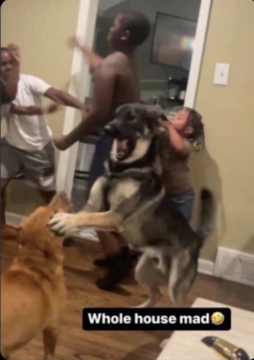 Tournament Tamin 🌽🌽 tweet media