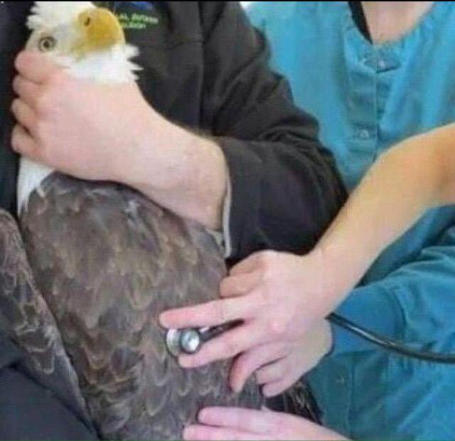 🧡♥️ tweet media