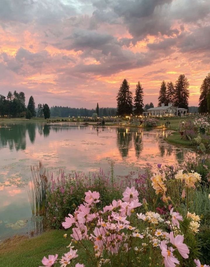 𝐀𝐯𝐚𝐥𝐨𝐧 tweet media