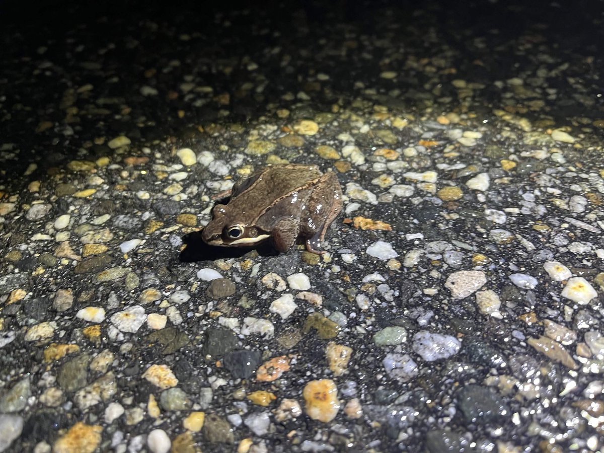 Arca 💫 tweet media