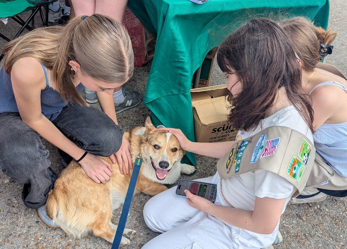 Asst. to Gov. Huey P. Longbody tweet media