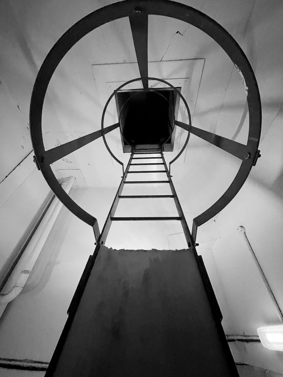 Will Sergeant tweet media