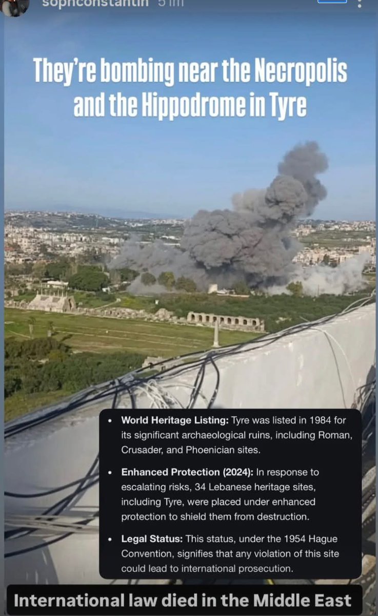 Omar Coloru tweet media