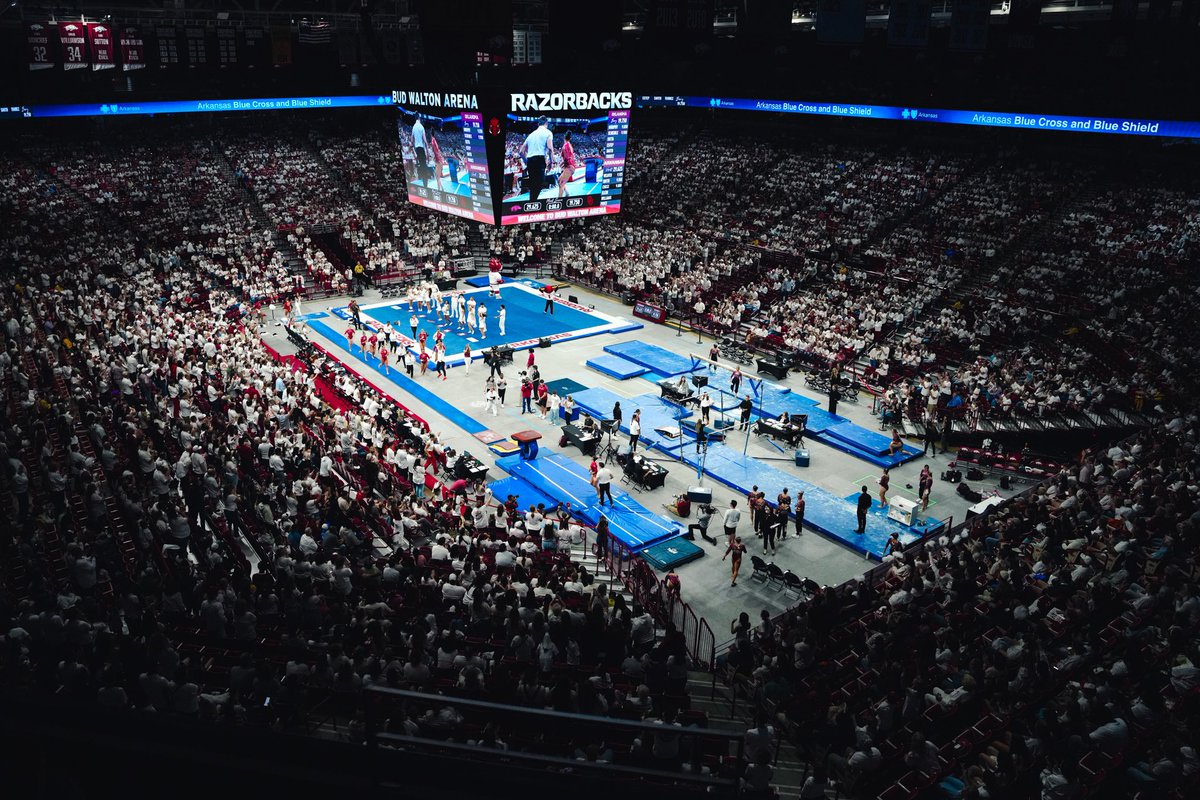 Arkansas Gymnastics 🐗 tweet media