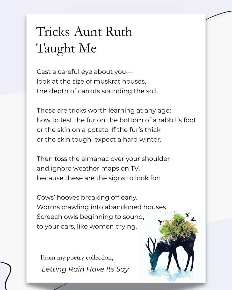 DonnaBaierStein's tweet photo. A selection from my poetry collection, “Letting Rain Have Its Say.” 🌦️

Learn more about the collection: https://t.co/Omlt7dqCHV

#poetry #poems #poet #originalpoetry https://t.co/gARYj1pTZ1