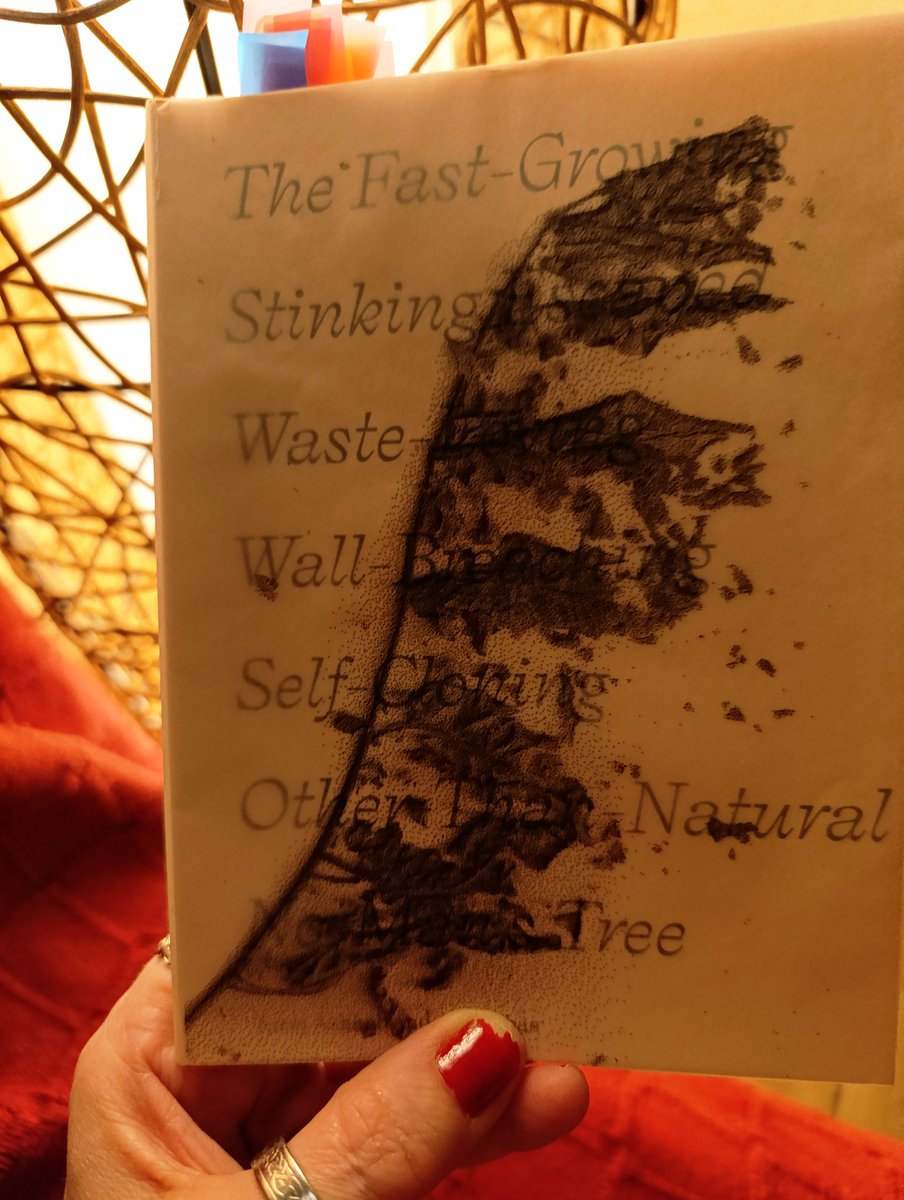 Silvinaction ~ Cultura a les Terres de Lleida tweet media