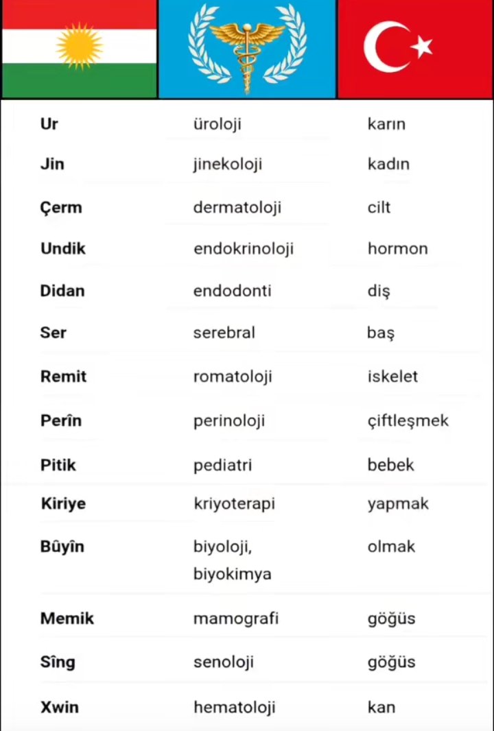 Latince öğreneyim derken aslında Kürtçe bildiğimi fark etmişimdir... 😂 😁

Ne düşünüyorsunuz bu konuda 😏

#EspanaTurquia #BJKvGS