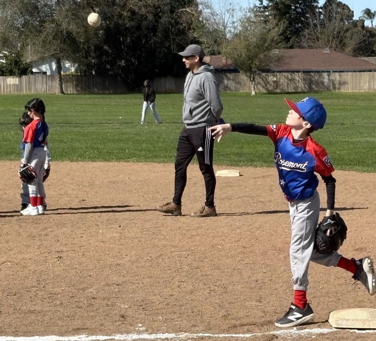 Senator Angelique Ashby tweet media