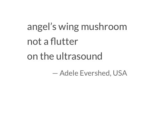 Ad-Libby tweet media