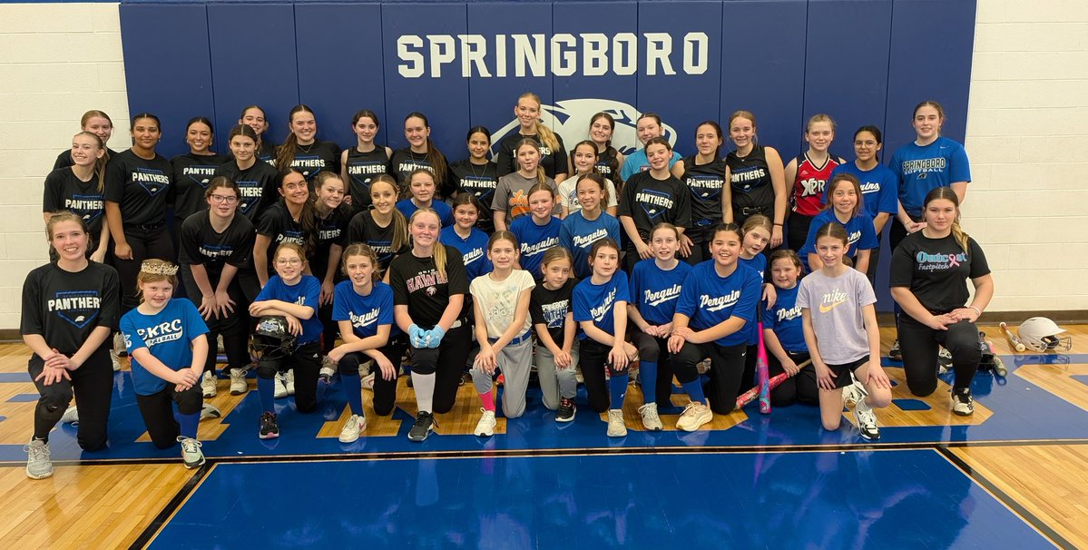 Springboro Softball tweet media