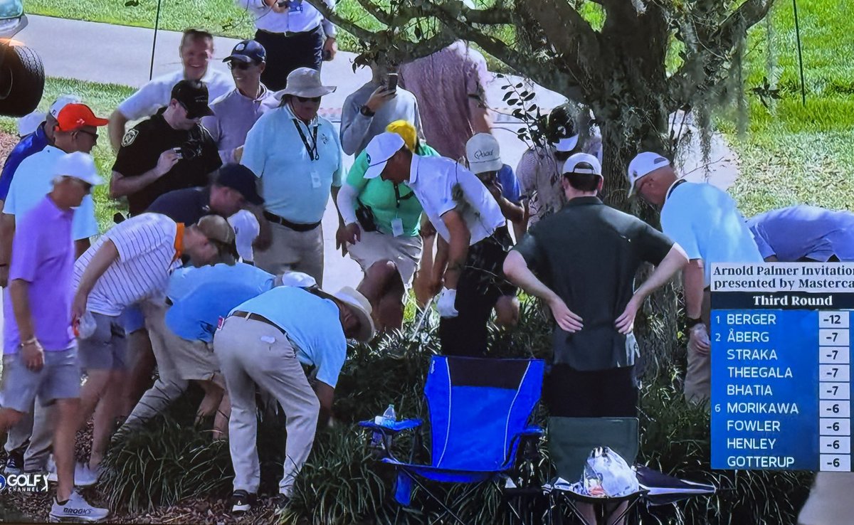NoLayingUp's tweet photo. Oh sweet prince https://t.co/jqt3tQ4aGR