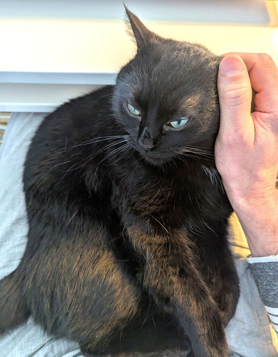 Sever Bronny tweet media