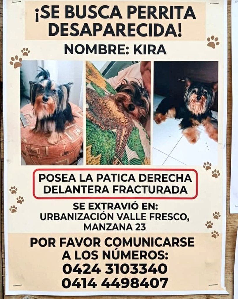 Urgente! 🚨🚨
Valle Fresco/ Turmero, Edo. Aragua.

Buscamos a Kira..

Gracias a todos por difundir.. 🆘🆘

<a href="/PerroUsuario/">PerroUsuario Wof '•'</a>