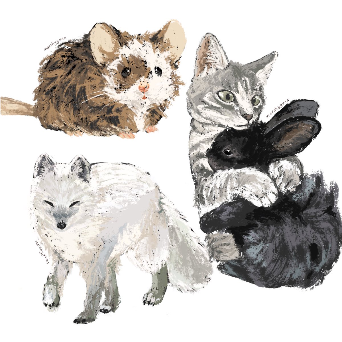 marshyy🌼 tweet media