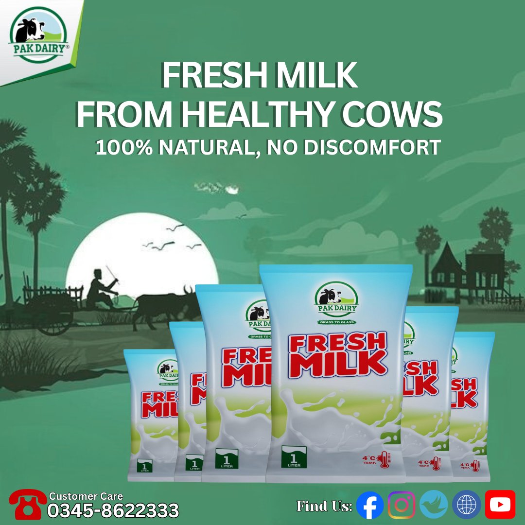 PakDairies's tweet image. Pure freshness delivered daily from healthy, well-cared cows. Pak Dairy ensures hygienic milking, cold-chain delivery at 4°C, and natural taste straight from farm to your glass. Experience real milk quality.  #PakDairy #FreshMilk #FarmToGlass #GrassToGlass #PureMilk