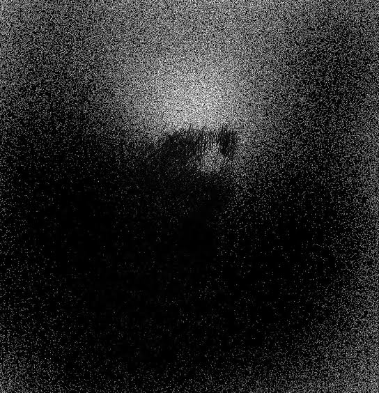 Trev🥀 tweet media