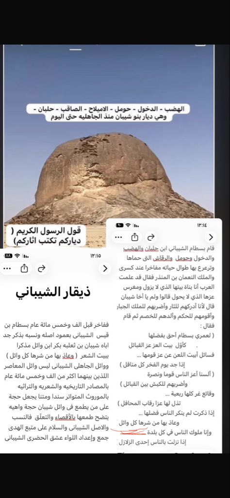 اللواء / عشق الشيباني tweet media