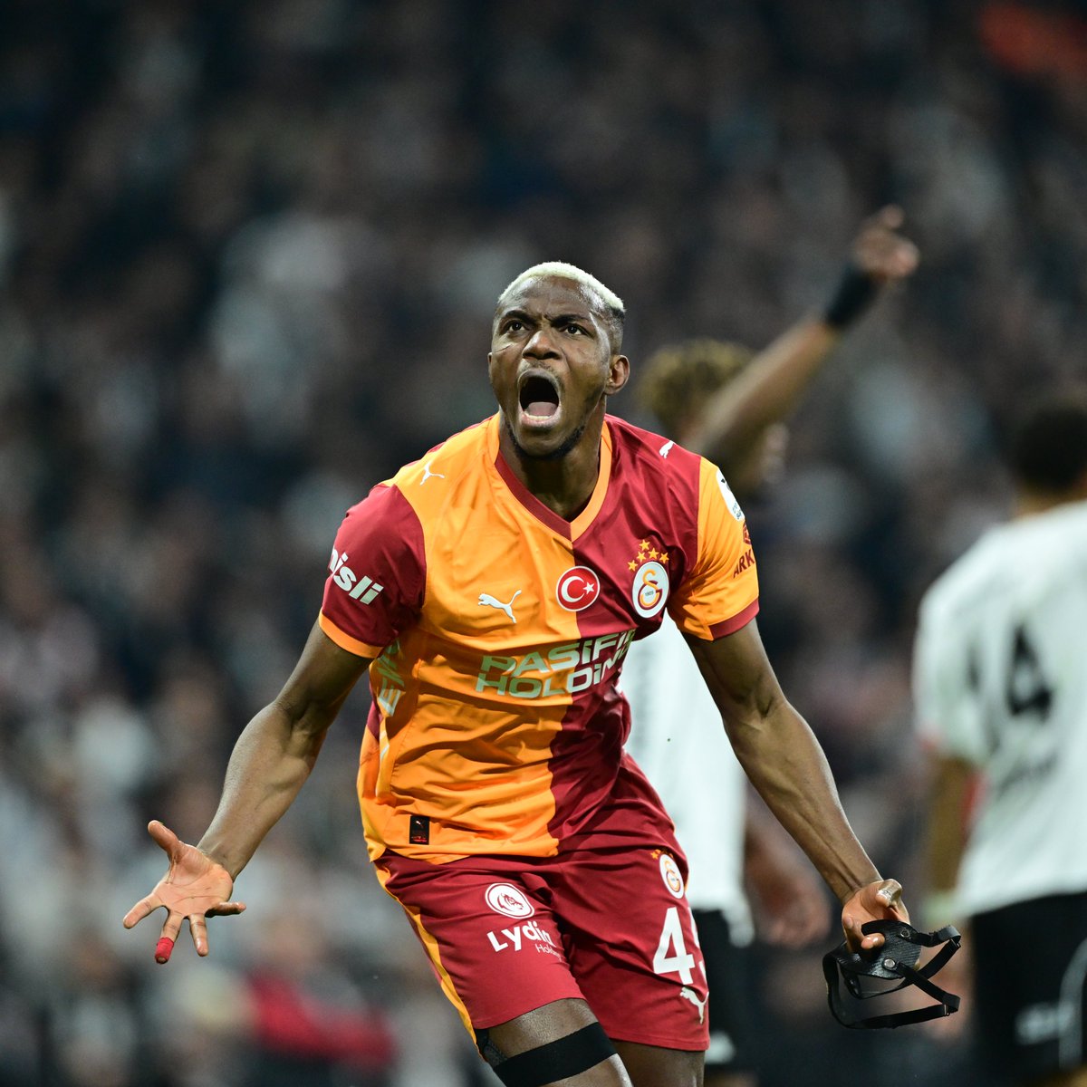 De Marke Sports tweet media